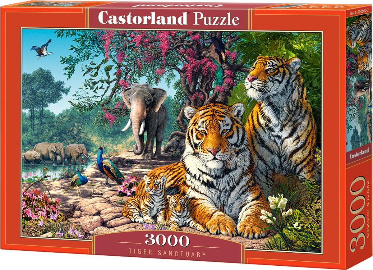 Castorlandia