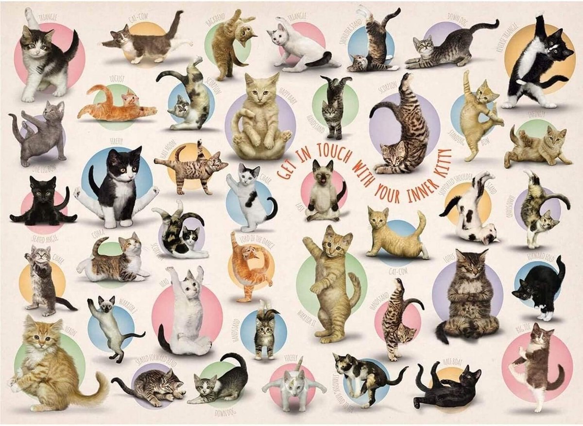 Puzzle Eurographics gattini yoga (500 pezzi)