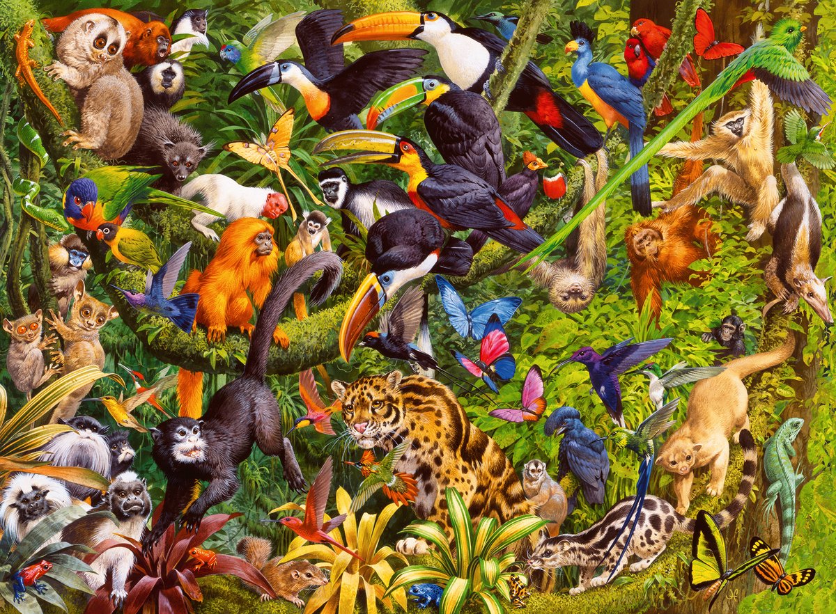Ravensburger puzzle giungla colorata - puzzle - 200 pezzi xxl
