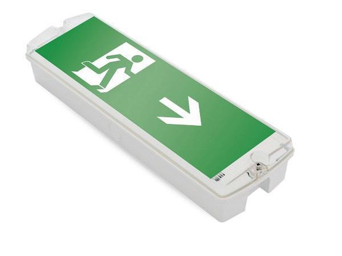 Luminaria de emergencia LED integral de superficie de 5w, 250 lúmenes, IP65, con indicación de flecha