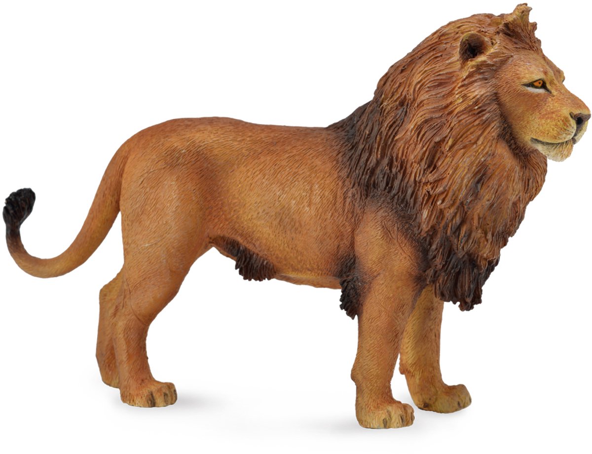 Collecta figurine - afrikaanse leeuw - (l) - wilde dieren - handgeschilderd - miniatuur