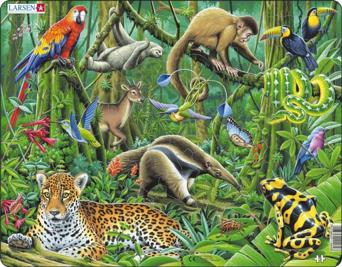 SelectA Larsen Line Puzzle Animals - Sud American Rainforest, 70 °.