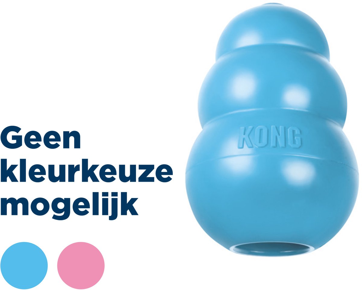 Cucciolo di kong rosa o blu.