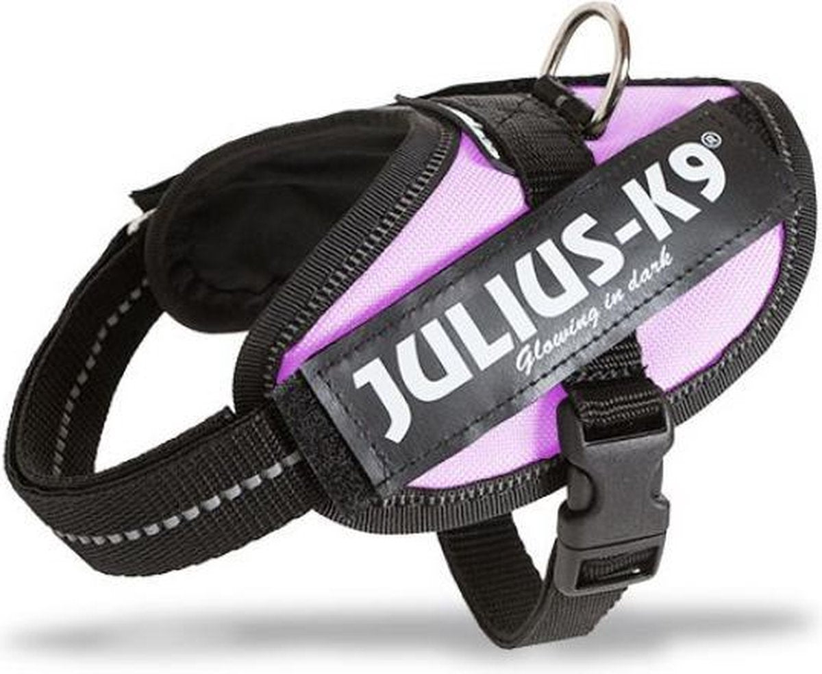 Julius k9 wereld bekende idc powertuig voor tekstlabels roze maat 1