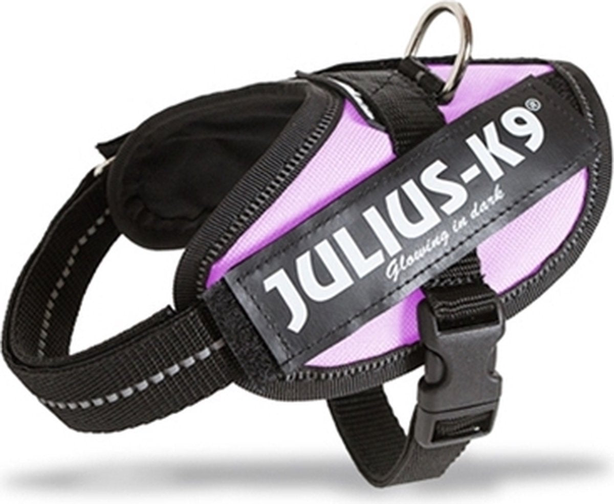 julio k9