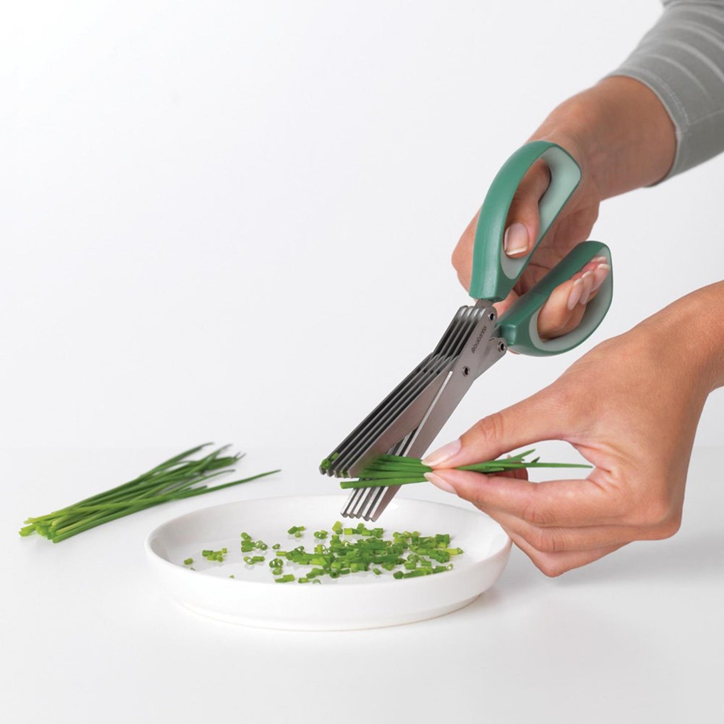 Brabantia Brabantia Tasty + Spice Scissors + Kam Fir Green