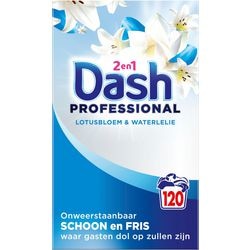 Detergente en polvo Dash 2 en 1 lote lirio 6,6 kg 120 wm