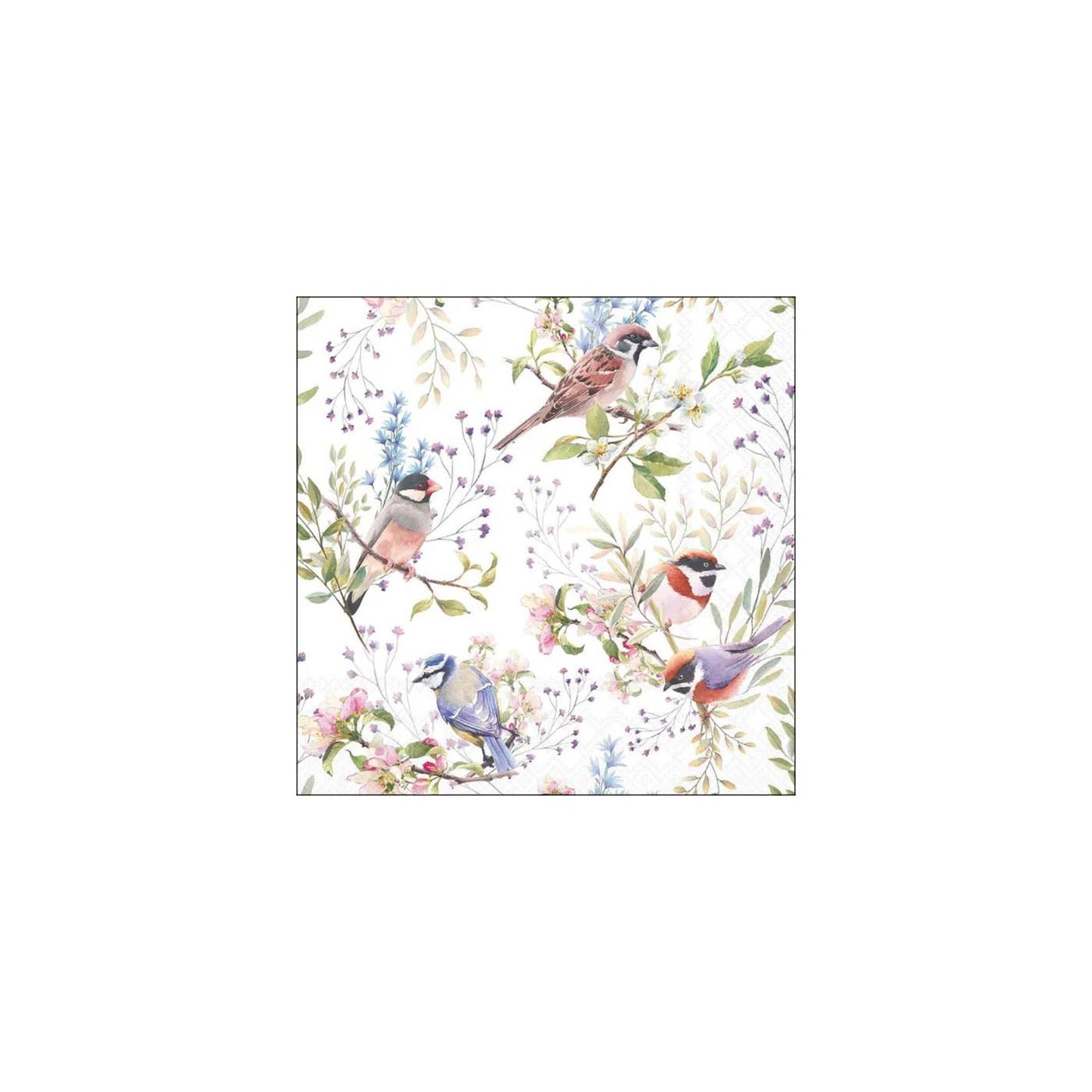 Servilletas Ambiente 25cm pájaros ocupados