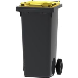 Contenitore rifiuti 428872 cl vl unbrand 120l