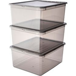 Guardián de caja de almacenamiento 3003182700000 18 l gris