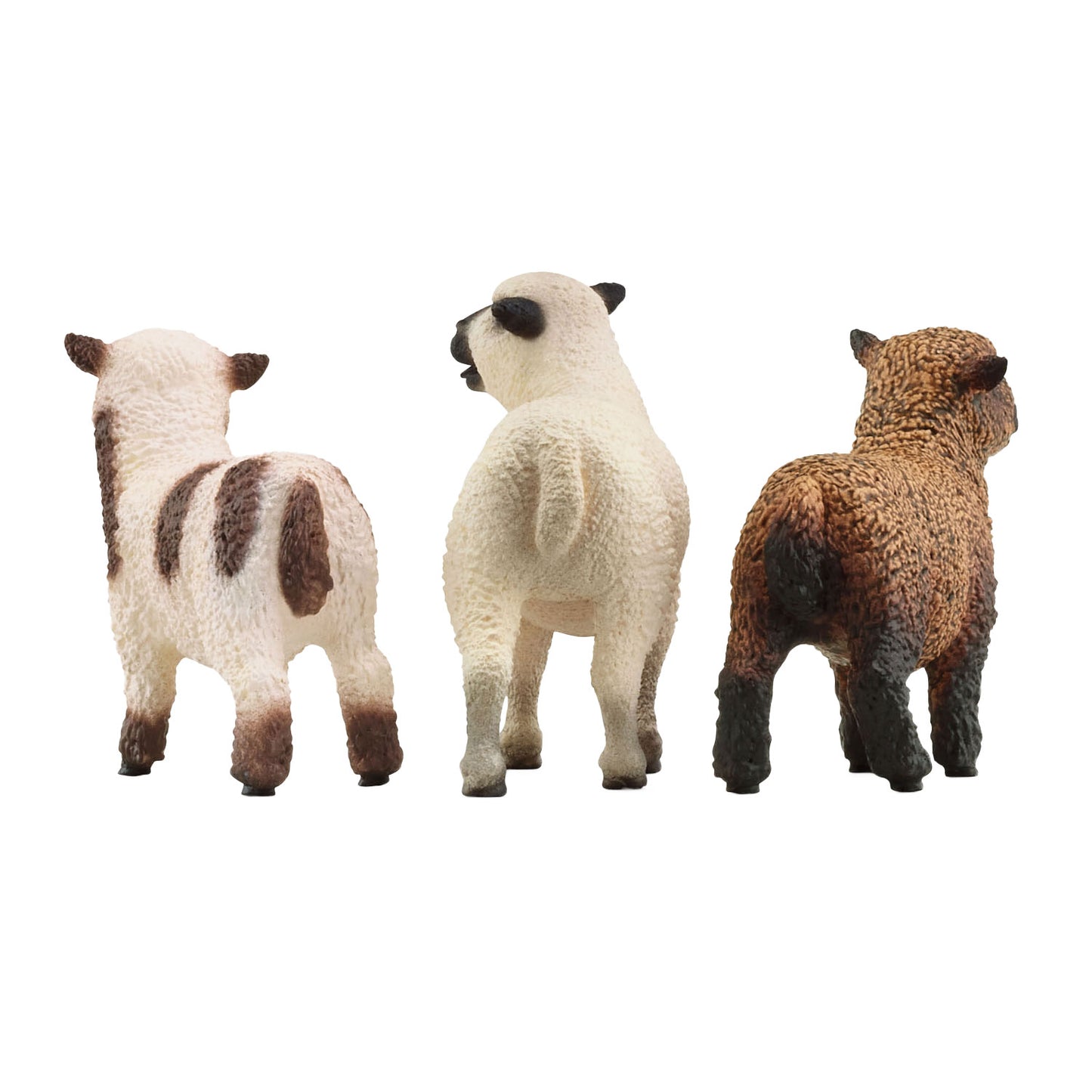 Amici di pecore del mondo di Schleich Farm 42660