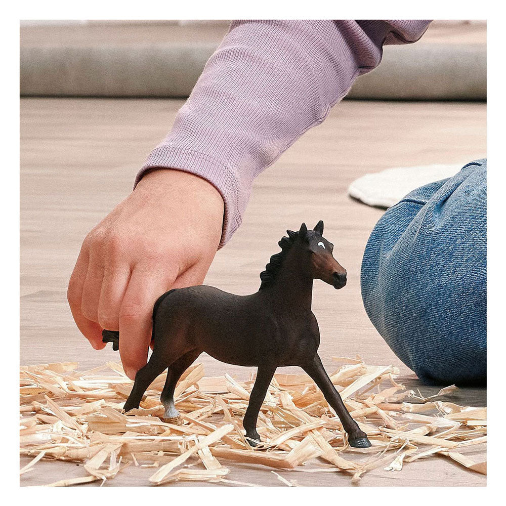 Schleich Horse Club Cavalla purosangue inglese 14914