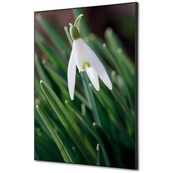 Decorazione murale tessile showdown tfr22wa2-set-i24 400 x 400 fiore bianco