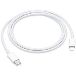 Cable de carga blanco manzana