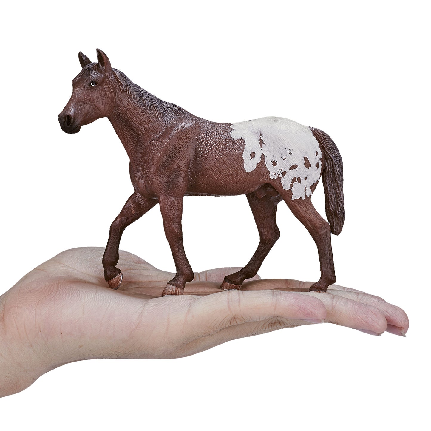 Mojo Horse World Appaloosa Hengst Chestnut 387150