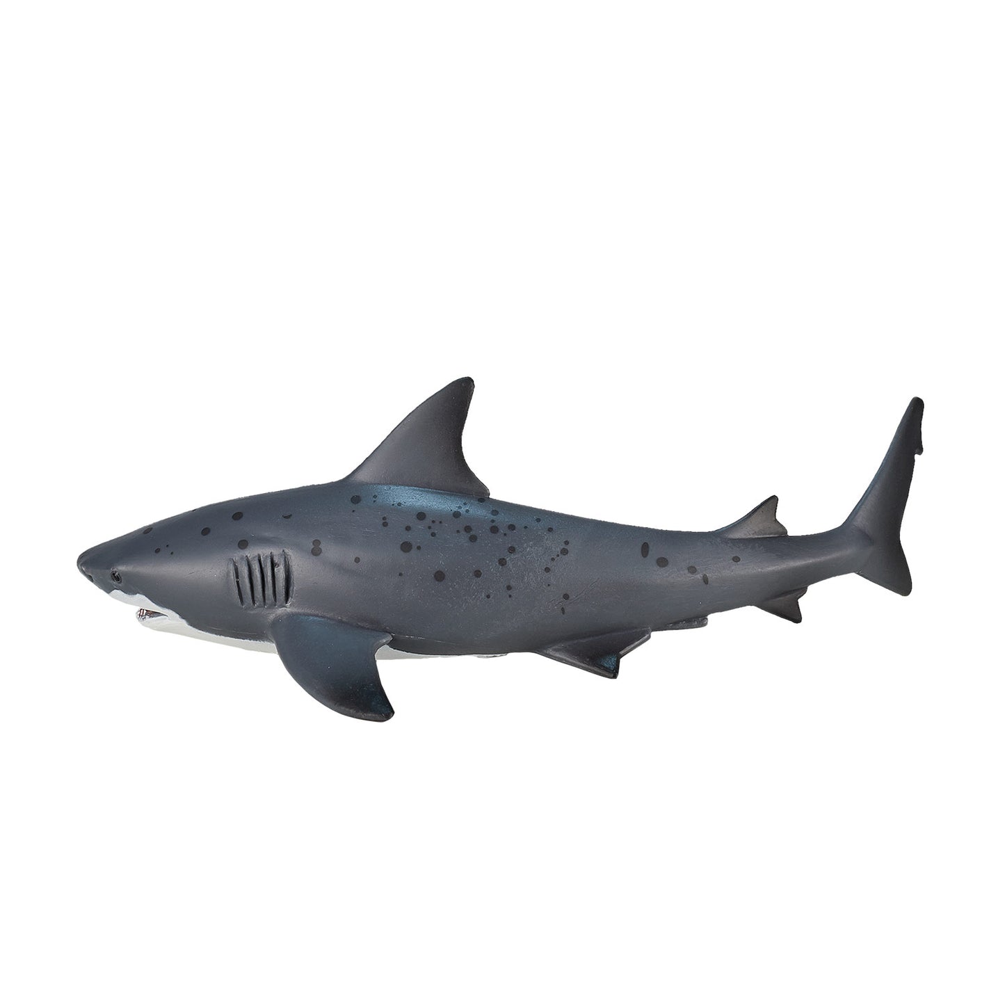 Mojo SEALIFE BULL SHAAI 387270