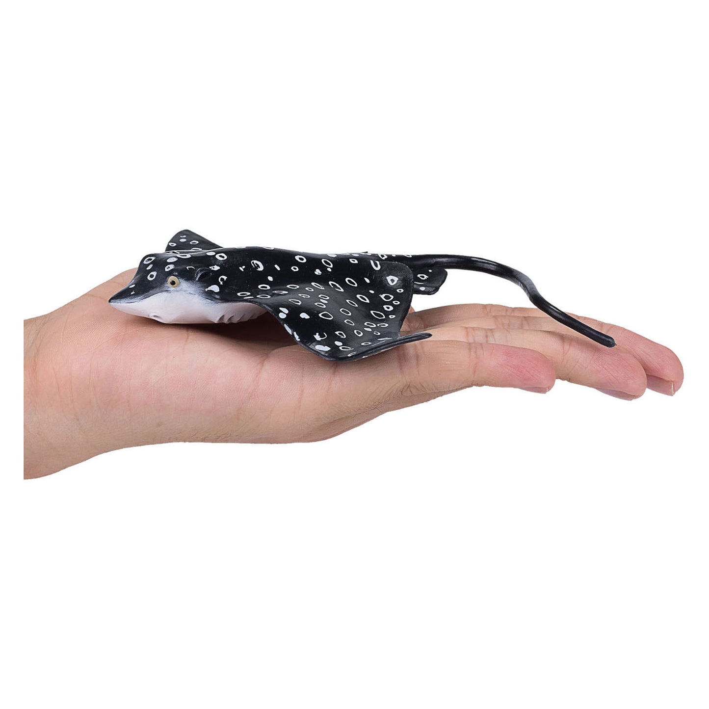 Mojo SealIfe Eagle ROG 387352