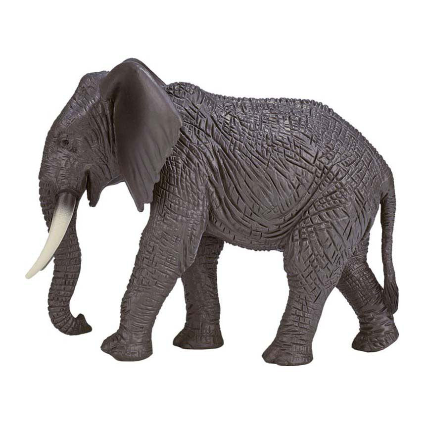 Mojo Wildlife Wild Animals Play Set, 6dlg. 380026
