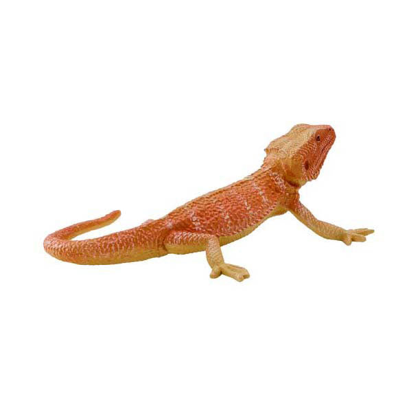 Mojo Wildlife Beardagaam - 381096
