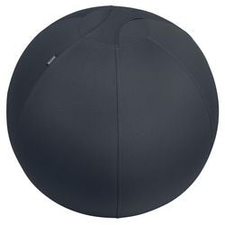 Ergonomic sitting ball Leitz 65420089 dark gray 2200 g