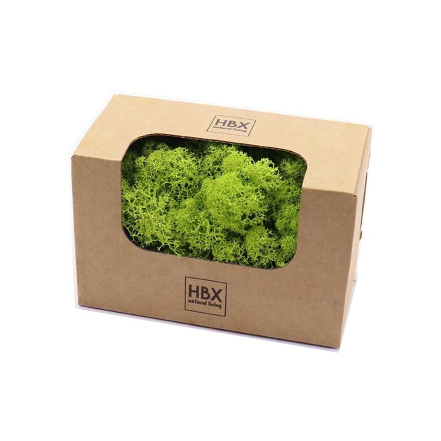 HBx Natural Living Basic Muschio di Renna 50gr Verde