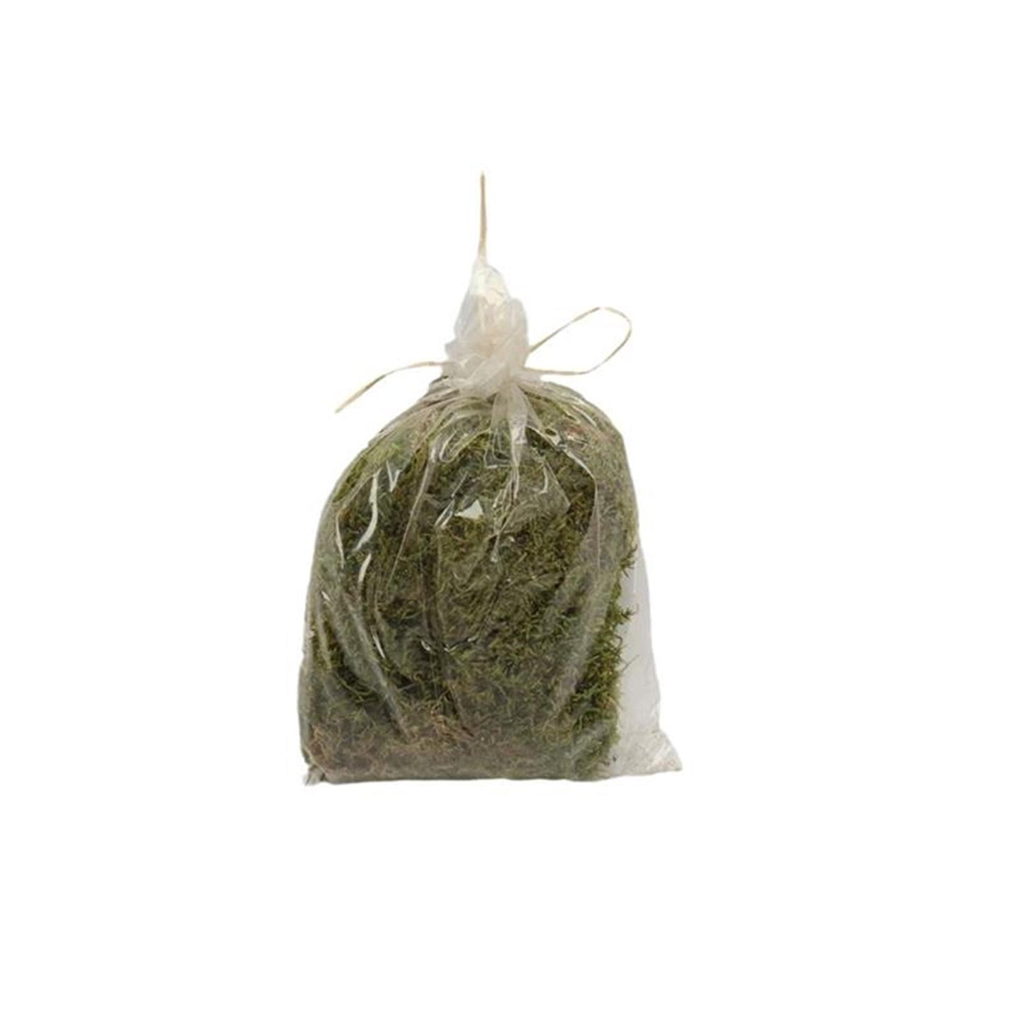 HBx natural living hobby musgo plano 80 gramos natural