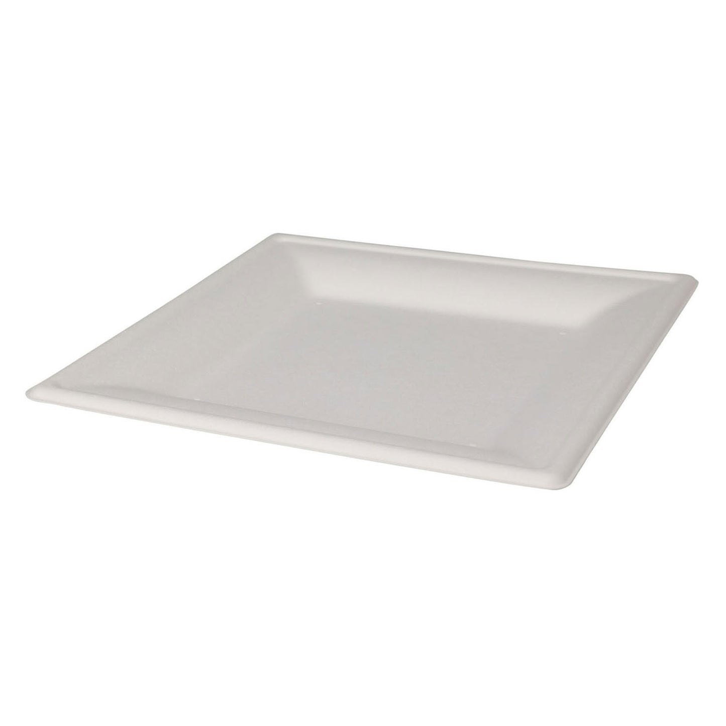 Placas desechables cuadradas 20 cm, octavo.