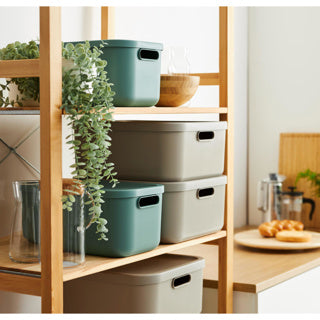 Rotho Decoration Storagebox Albula Light 20 L Misteloe verde