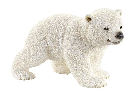Polar Bear Young 14708