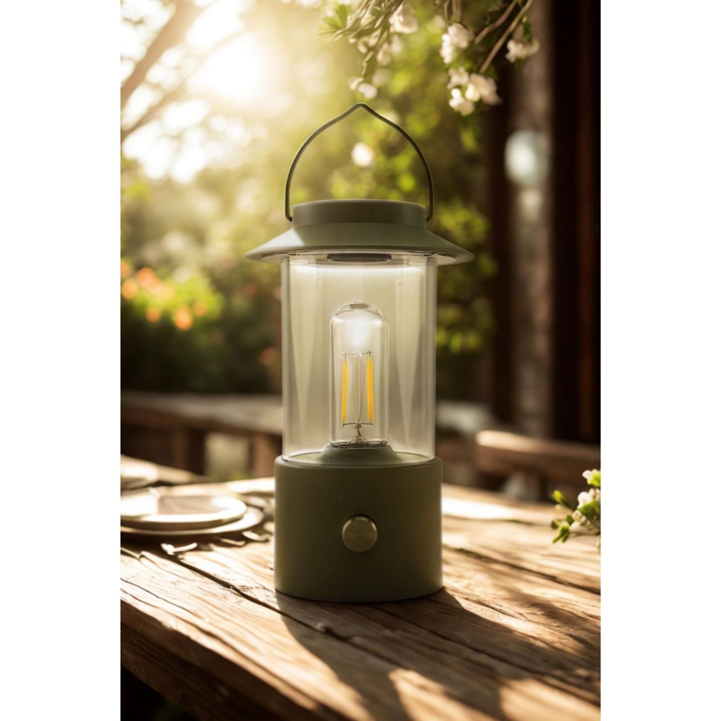 Lanterna LED collezione Anna oliva 24x9 cm su USB