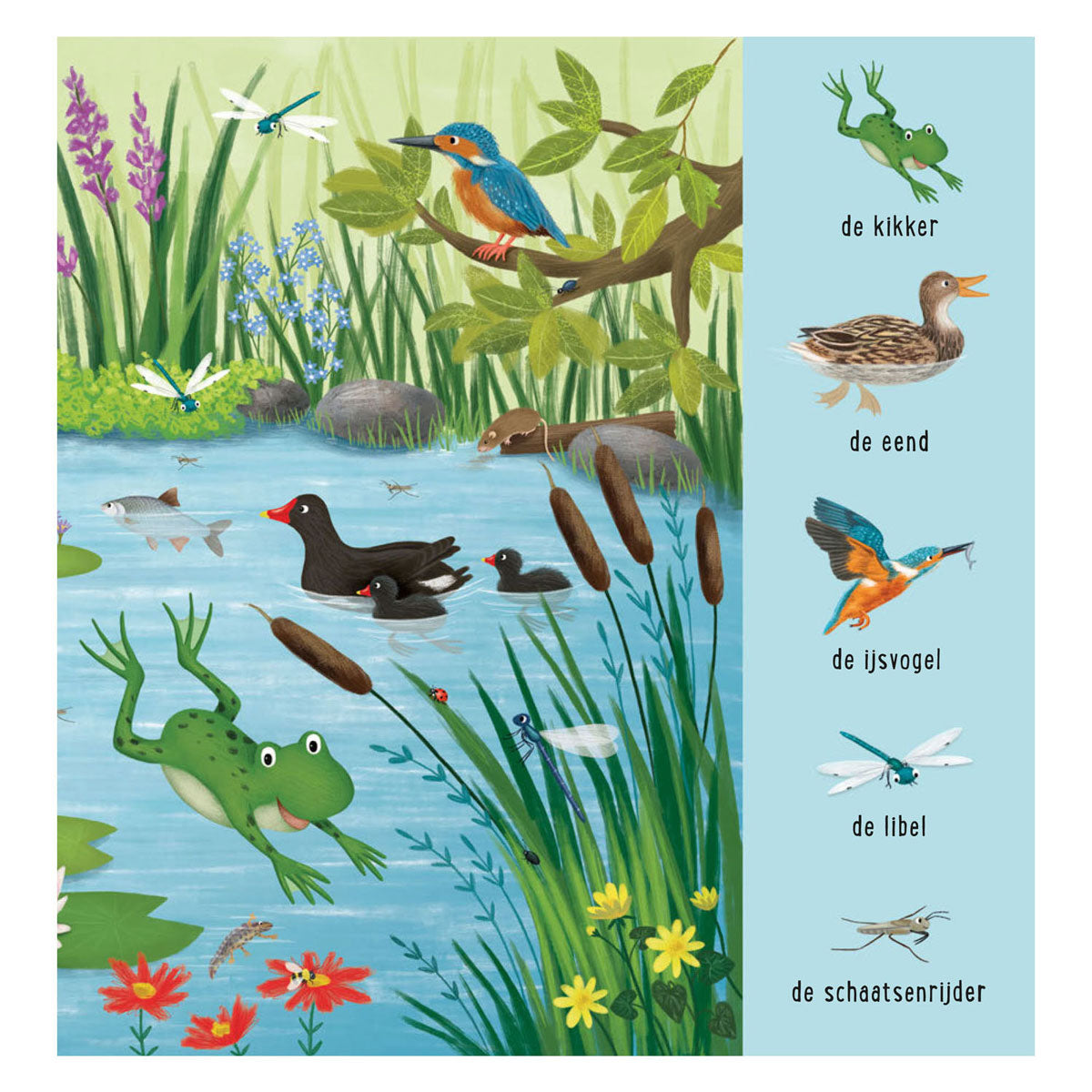 Delta il mio primo libro di ricerca animali in acqua