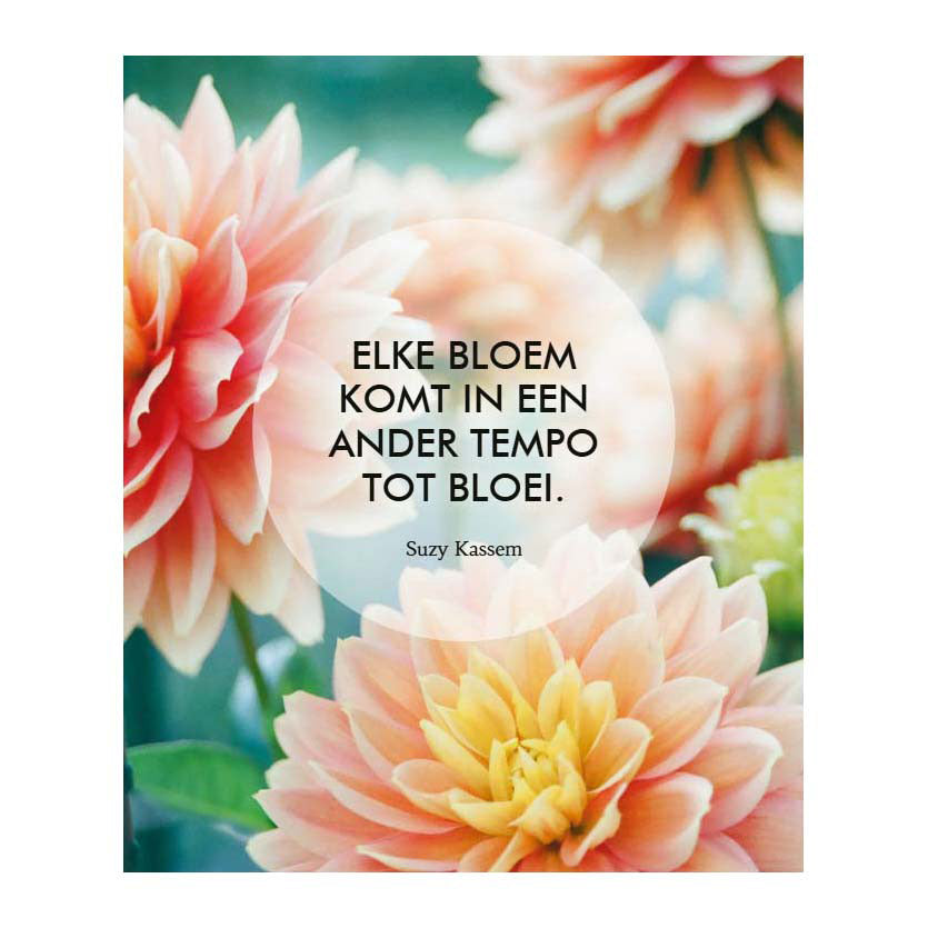 ¡Los deltas creen en ti mismo! - 52 tarjetas de inspiración