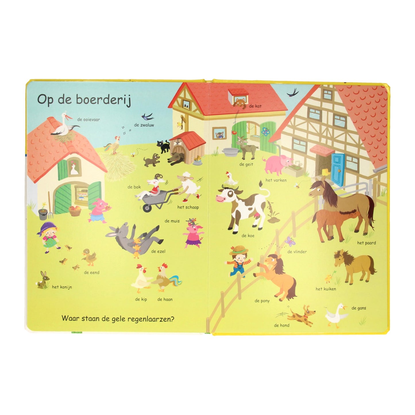 Gana Holanda Search Book Image Dictionary Animales