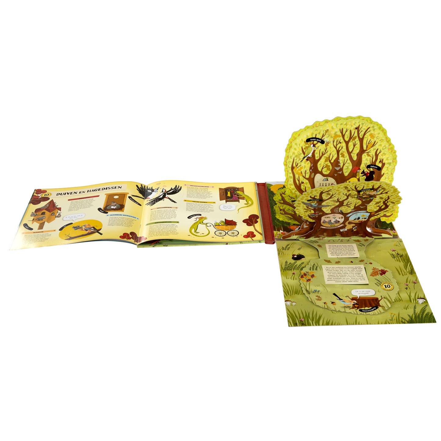Especiales de libros Nederland bv plegando y flapjesboek dentro del árbol