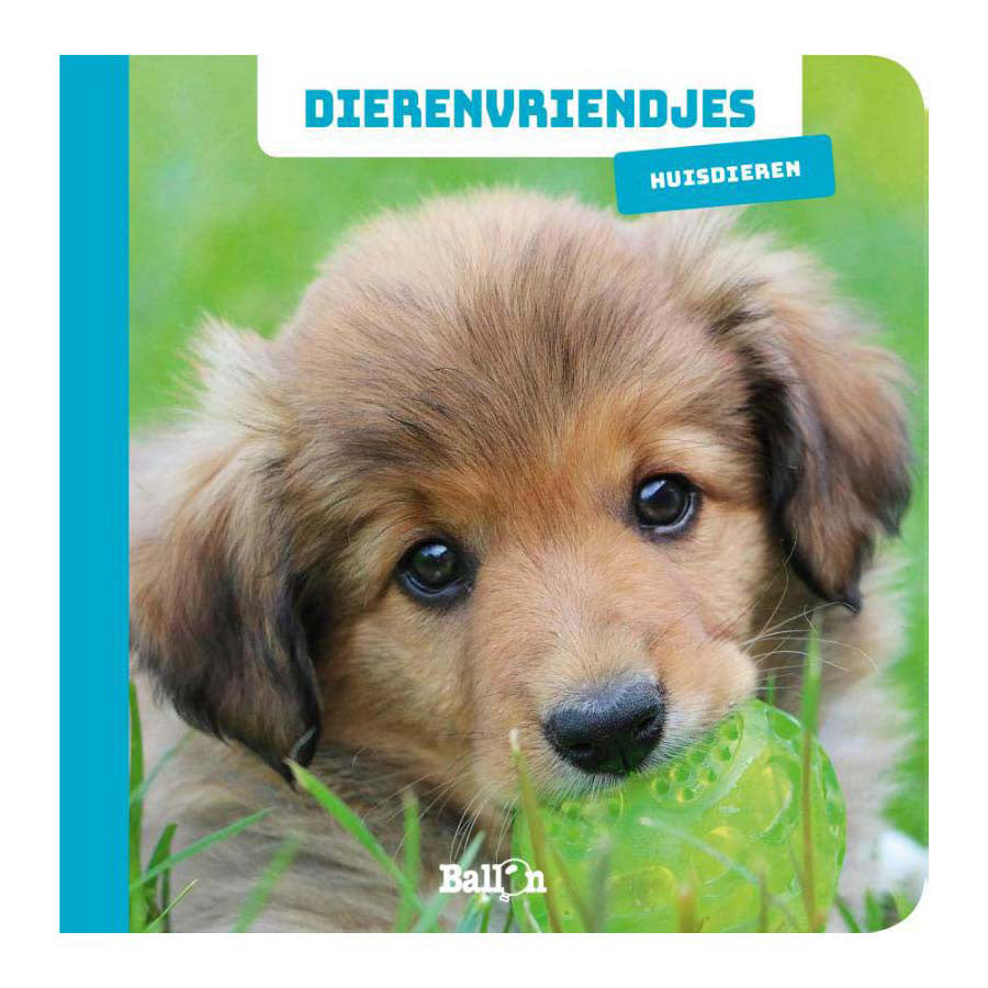 Gana el libro de mesa Holland Animal Friends Pets
