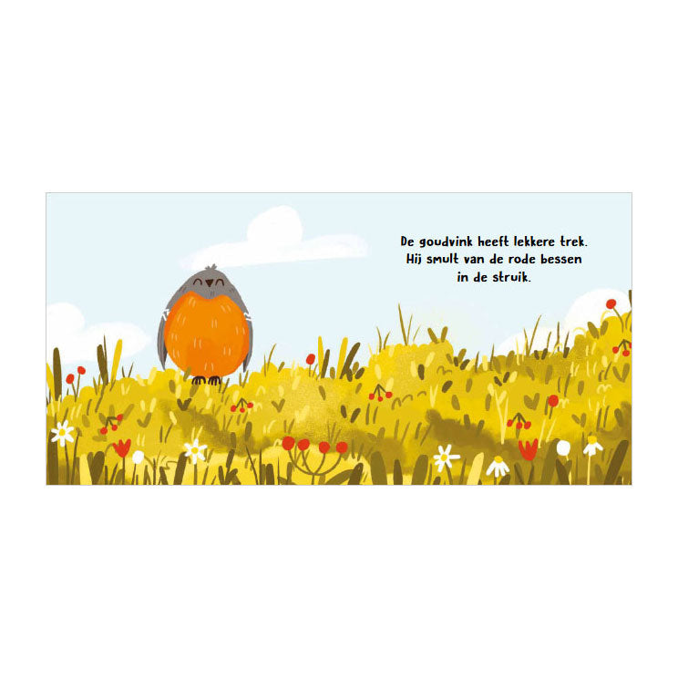 Uccelli degli editori Rebo: cosa sento lì? - 6 suoni