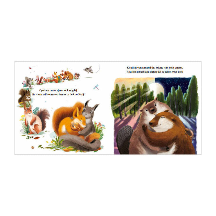 Libro de peluches grandes para osito | 2 piezas