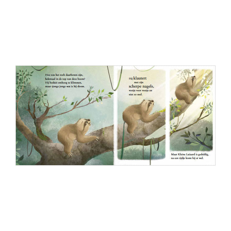 Rebo publishers verhalenboek: kleine luiaard. 2+