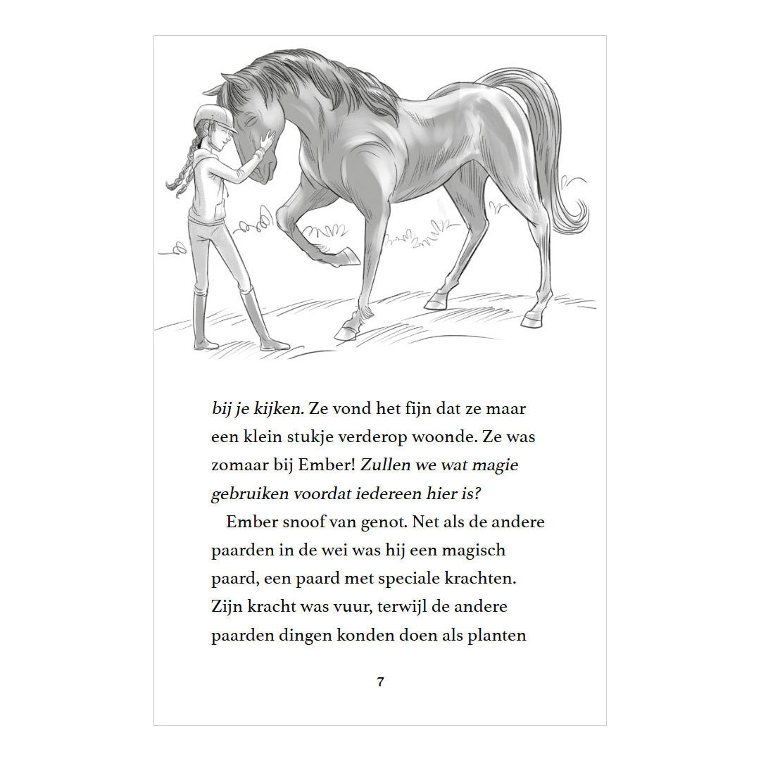 Editori Rebo Moonlight Riders 2 - Storm Horse
