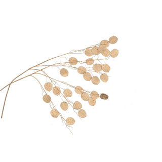 Art filiale dollaro d'argento Oslo Gold 71 cm