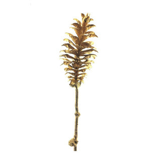 Art filiale pino cono oro 64 cm