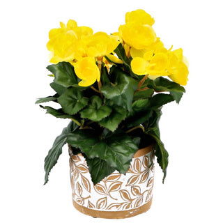 POT OLEA cilindro marrone 11 cm