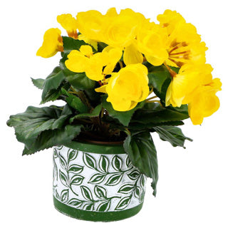 Pot Olea Cylinder verde 11 cm