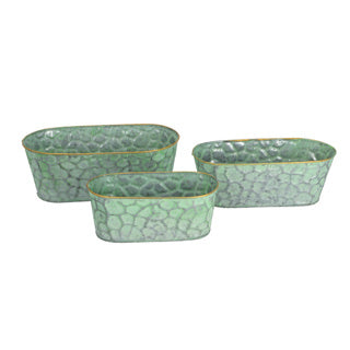 PTMD Flower Box Dianne Green Set di 3