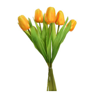 Tulip Bouquet 7 Tulips 35 cm Surorti