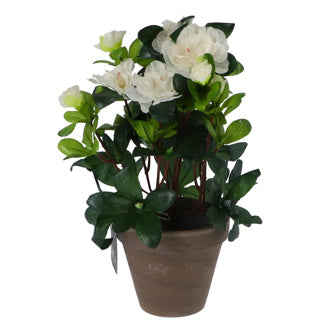 Pianta artificiale azalea bianca in pentola