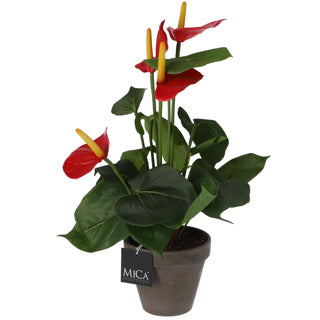 Pianta artificiale Anthurium rosso in pentola