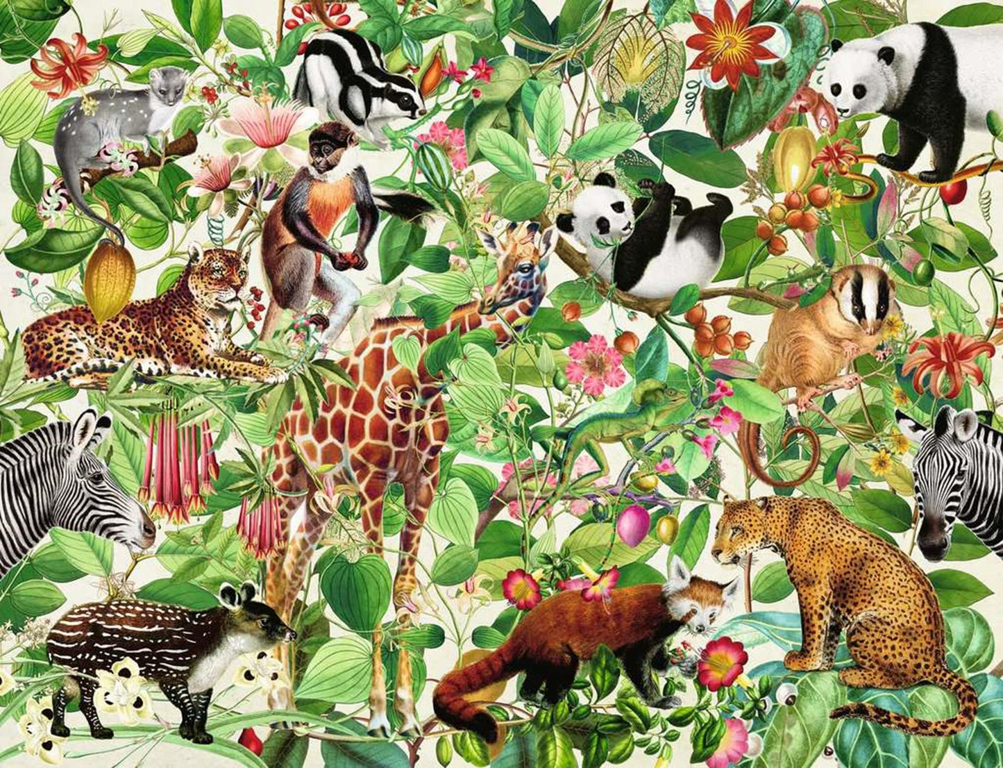 Puzzle Ravensburger giungla 2000 pezzi