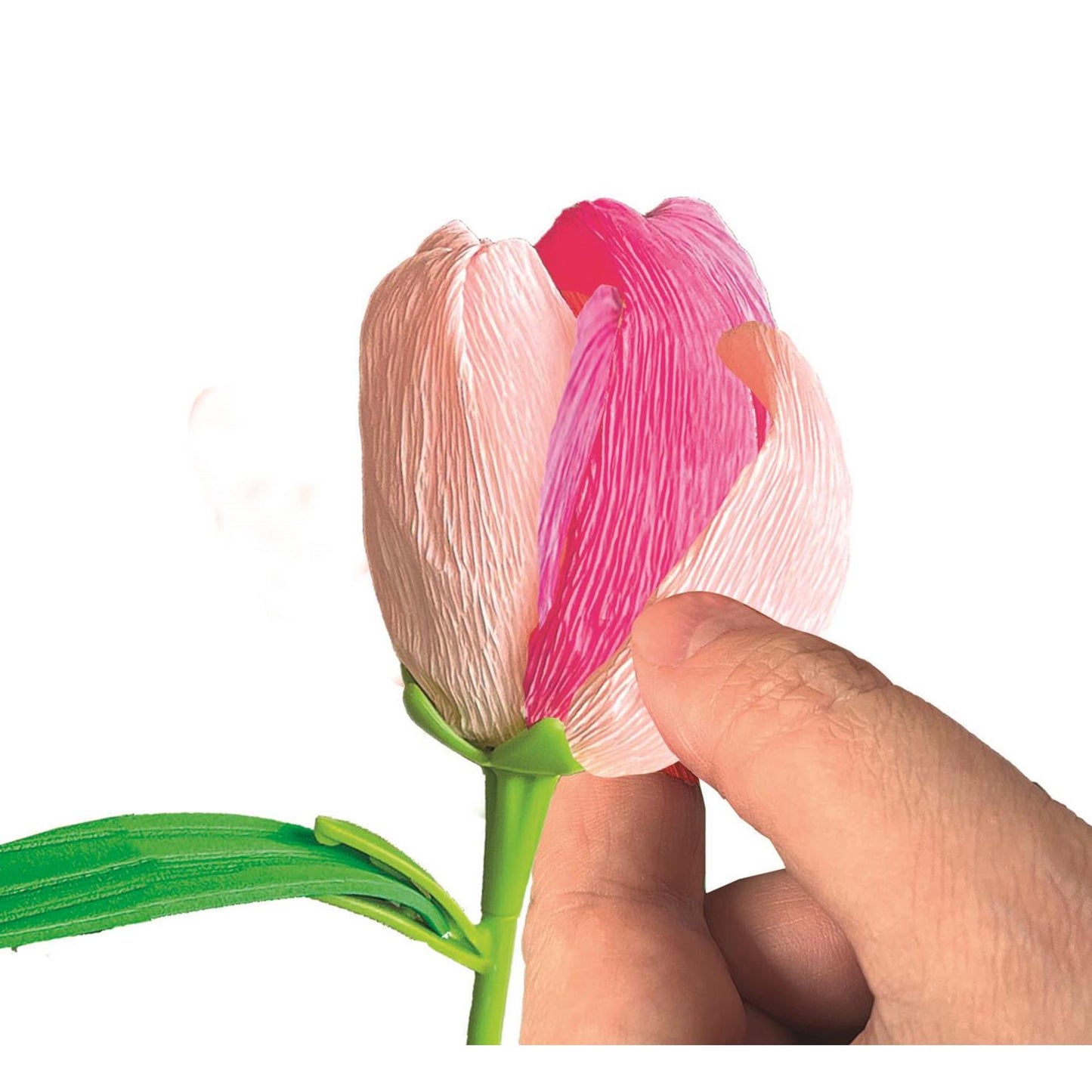 Flores perfumadas de Clementoni hacen tulipán