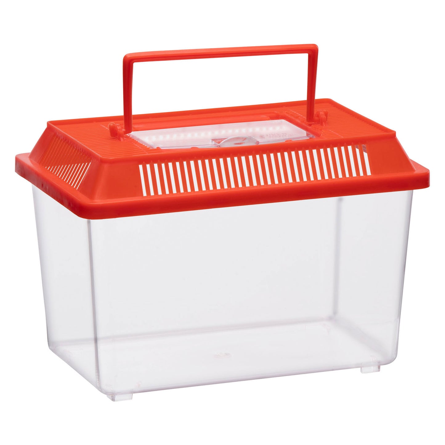 Caja de insectos con tapa